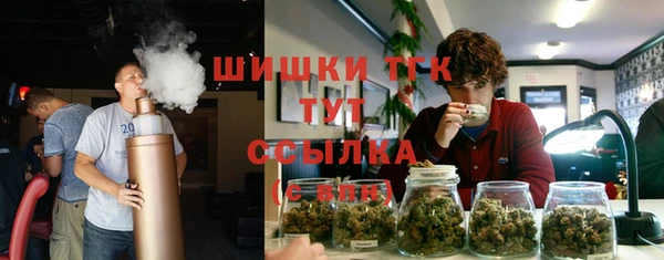 spice Ладушкин