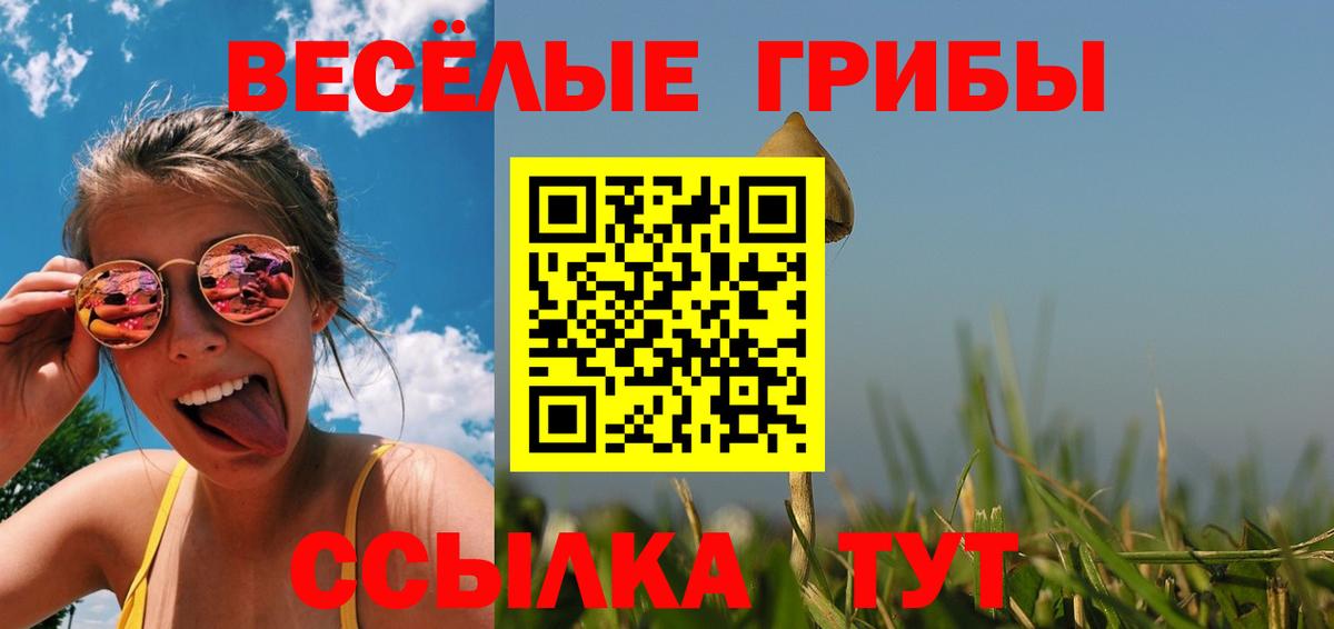 Псилоцибиновые грибы GOLDEN TEACHER Альметьевск