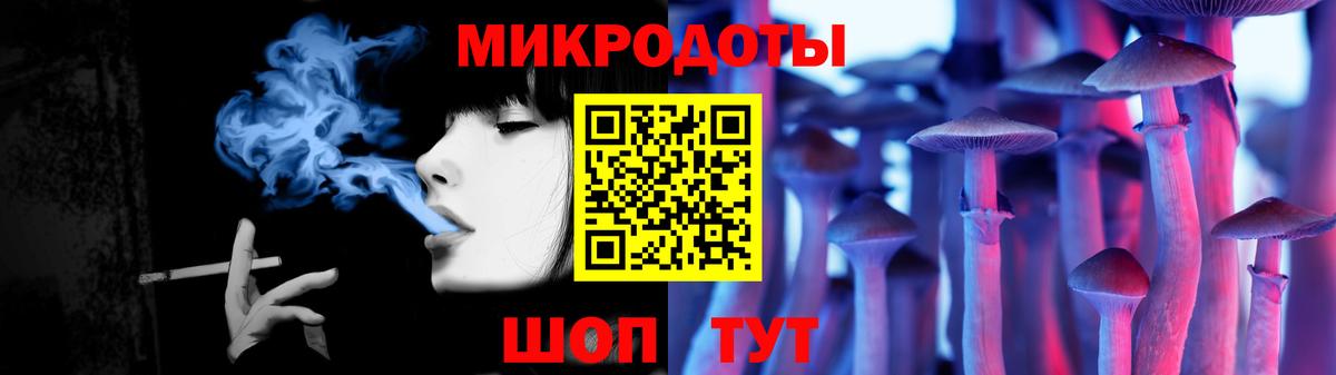 Псилоцибиновые грибы Psilocybe Альметьевск